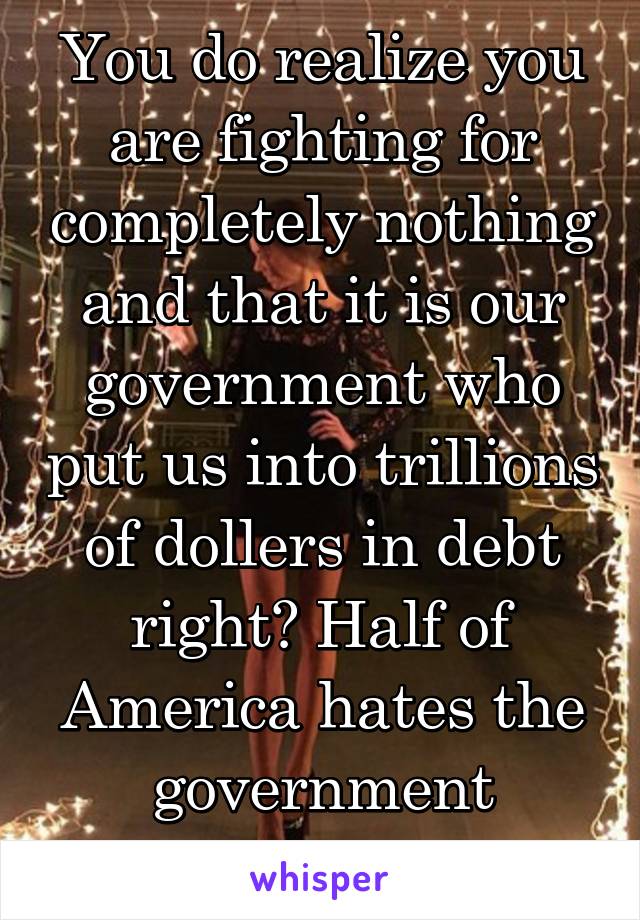 You do realize you are fighting for completely nothing and that it is our government who put us into trillions of dollers in debt right? Half of America hates the government anyway. 