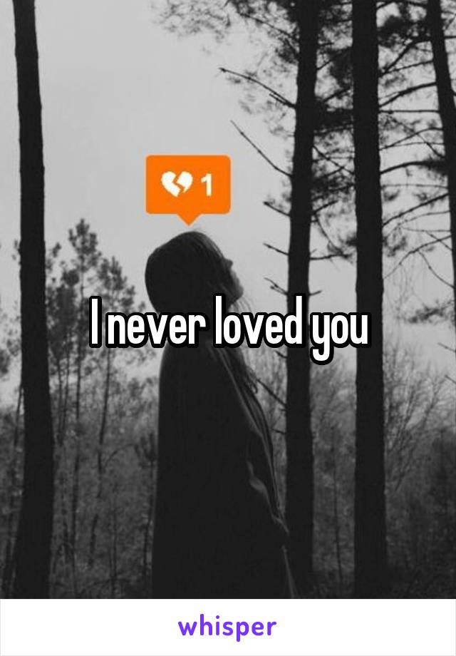 I never loved you