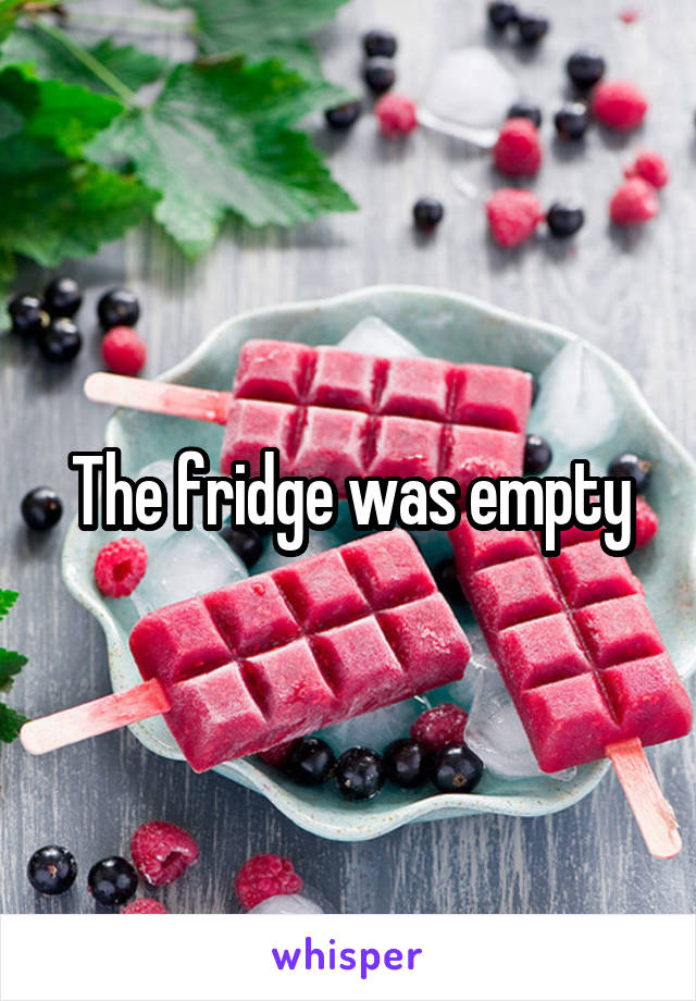 The fridge was empty