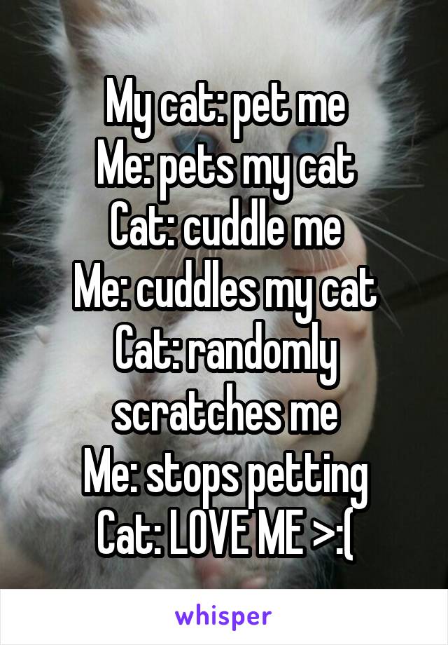 My cat: pet me
Me: pets my cat
Cat: cuddle me
Me: cuddles my cat
Cat: randomly scratches me
Me: stops petting
Cat: LOVE ME >:(