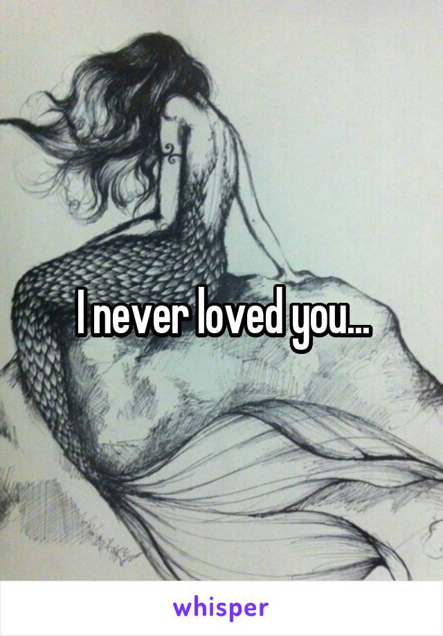 I never loved you...