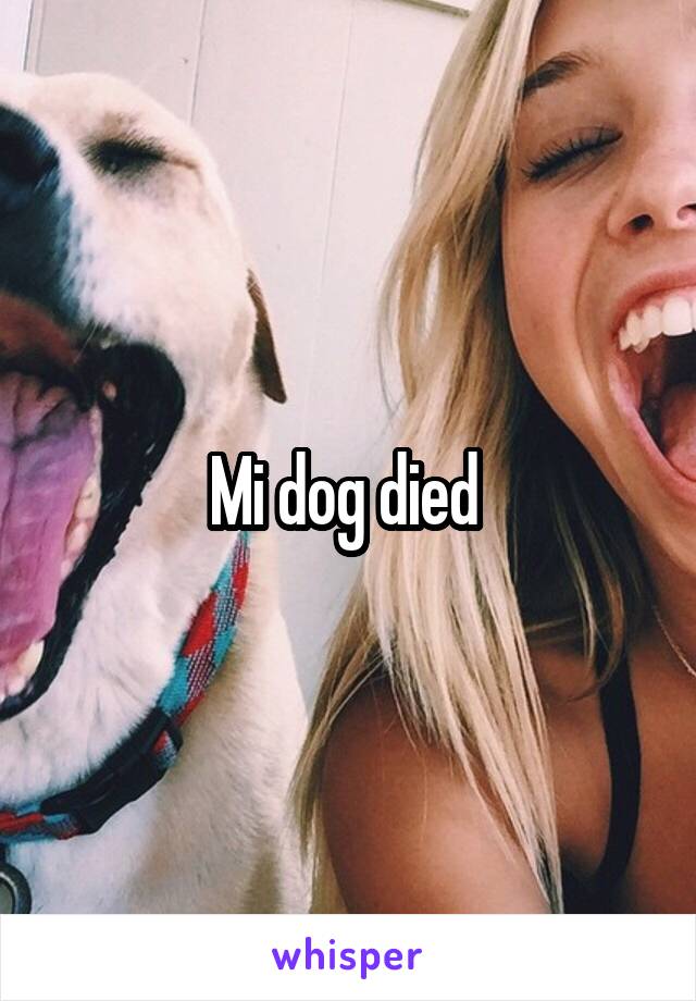 Mi dog died 