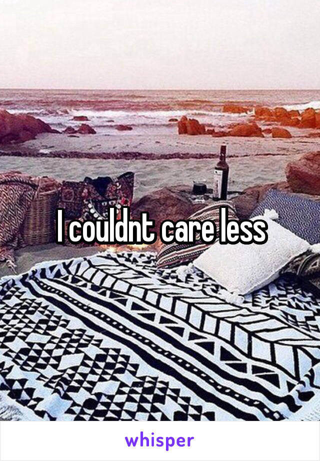 I couldnt care less