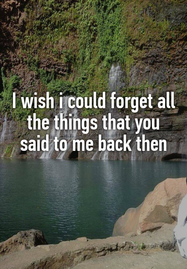 i-wish-i-could-forget-all-the-things-that-you-said-to-me-back-then