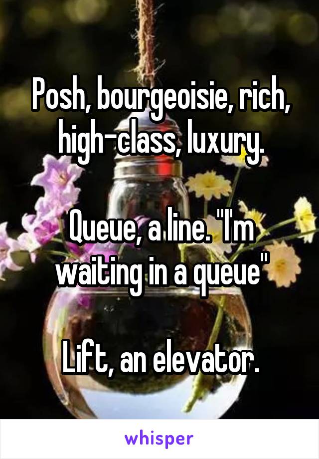 Posh, bourgeoisie, rich, high-class, luxury.

Queue, a line. "I'm waiting in a queue"

Lift, an elevator.