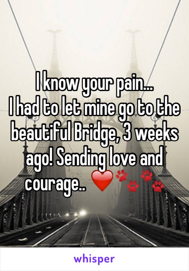 I know your pain...
I had to let mine go to the beautiful Bridge, 3 weeks ago! Sending love and courage.. ❤️🐾🐾