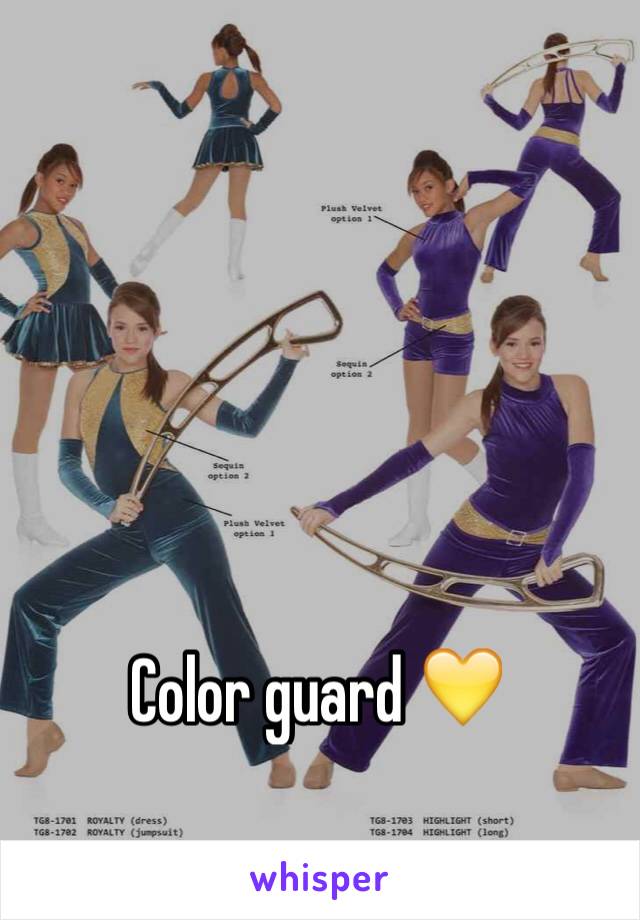 Color guard 💛