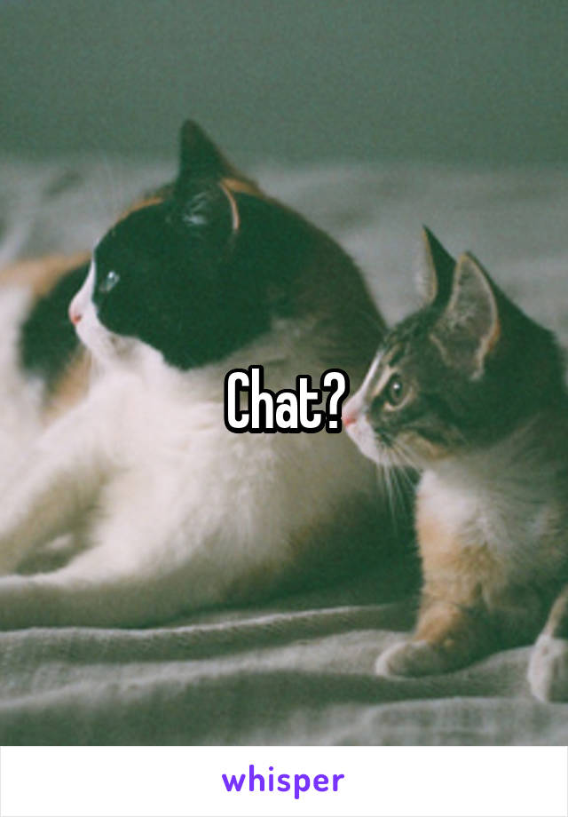 Chat?