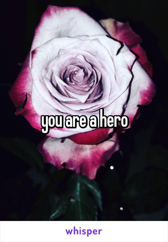 you are a hero