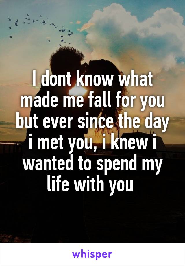 I dont know what made me fall for you but ever since the day i met you, i knew i wanted to spend my life with you 