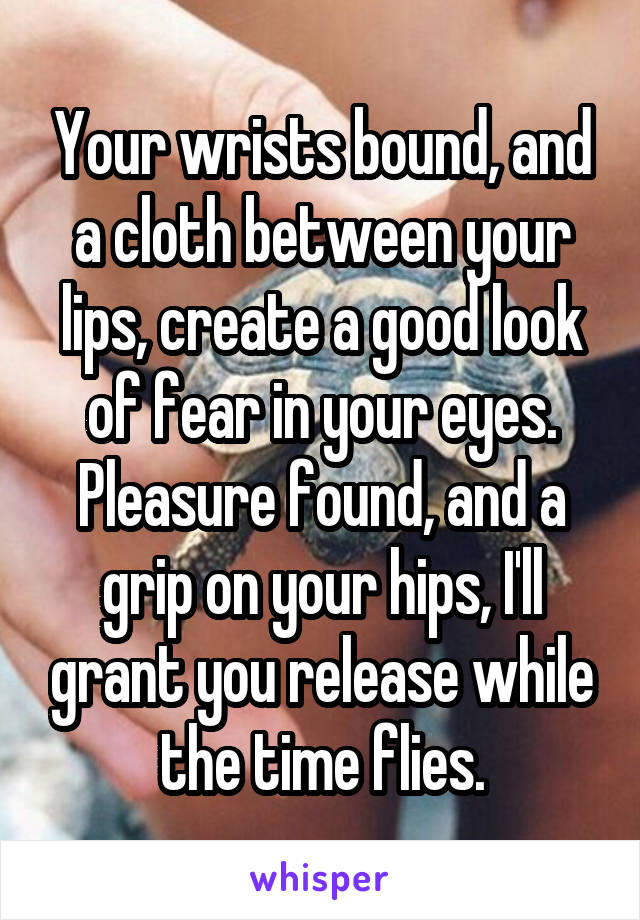 Your wrists bound, and a cloth between your lips, create a good look of fear in your eyes. Pleasure found, and a grip on your hips, I'll grant you release while the time flies.