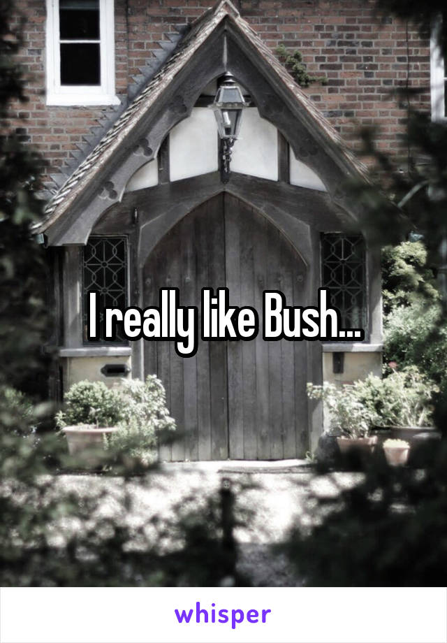 I really like Bush...