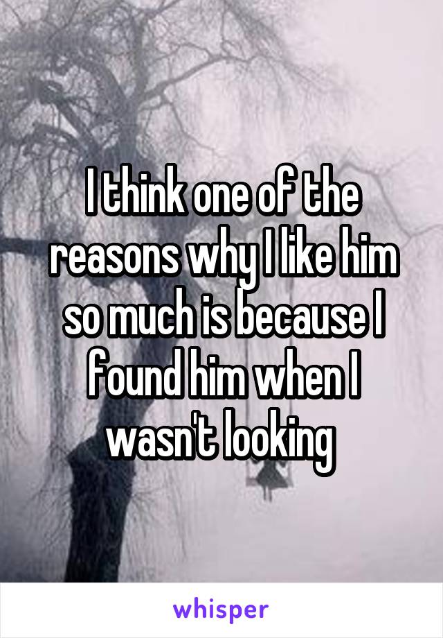 I think one of the reasons why I like him so much is because I found him when I wasn't looking 