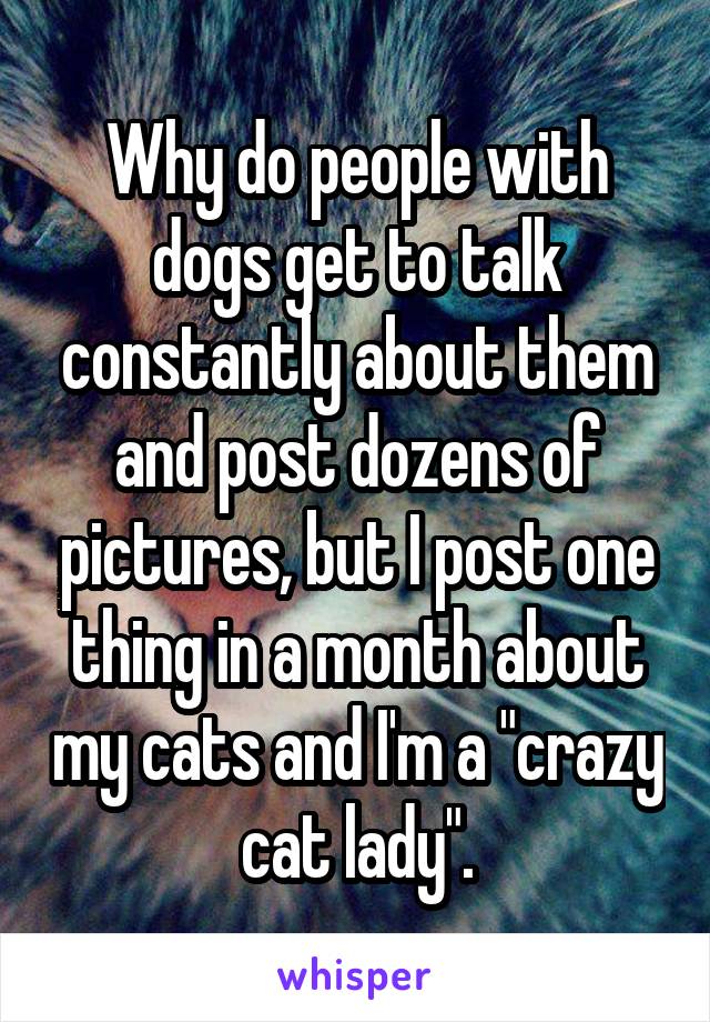 Why do people with dogs get to talk constantly about them and post dozens of pictures, but I post one thing in a month about my cats and I'm a "crazy cat lady".