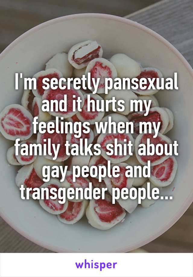 I'm secretly pansexual and it hurts my feelings when my family talks shit about gay people and transgender people...