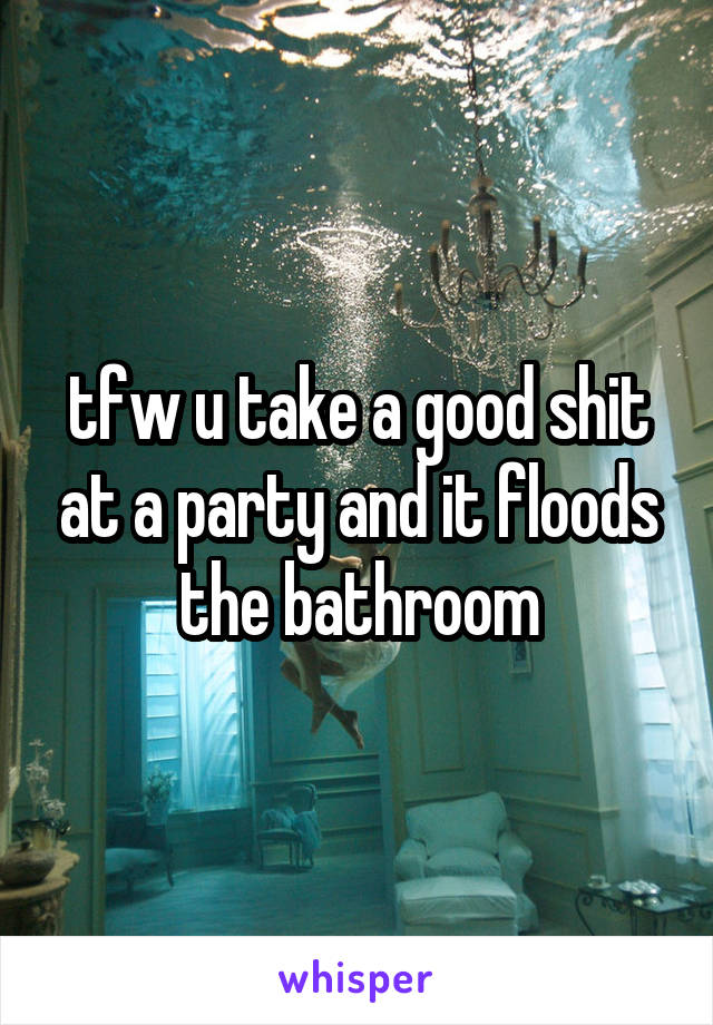 tfw u take a good shit at a party and it floods the bathroom