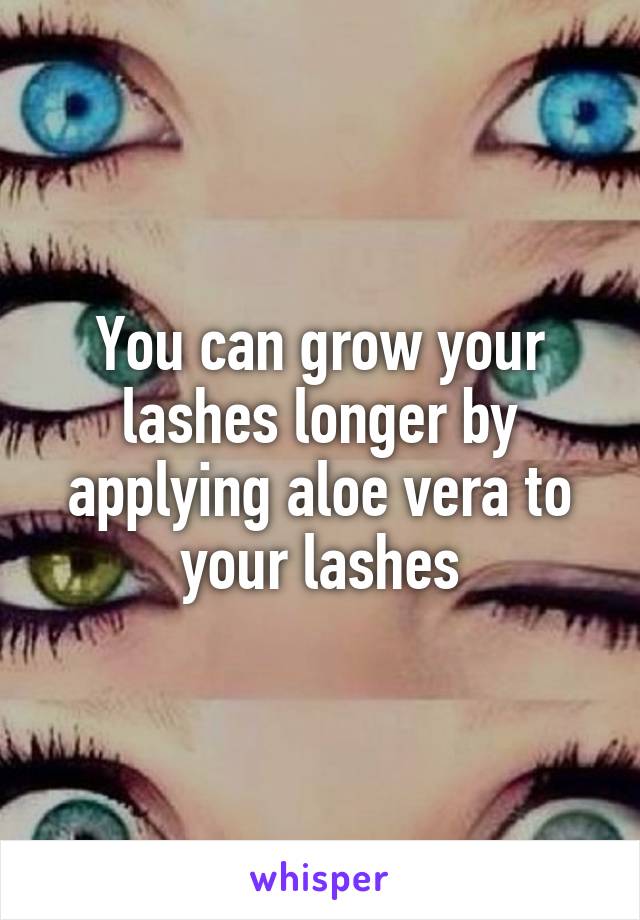 You can grow your lashes longer by applying aloe vera to your lashes