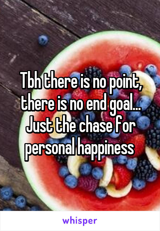 Tbh there is no point, there is no end goal... Just the chase for personal happiness 