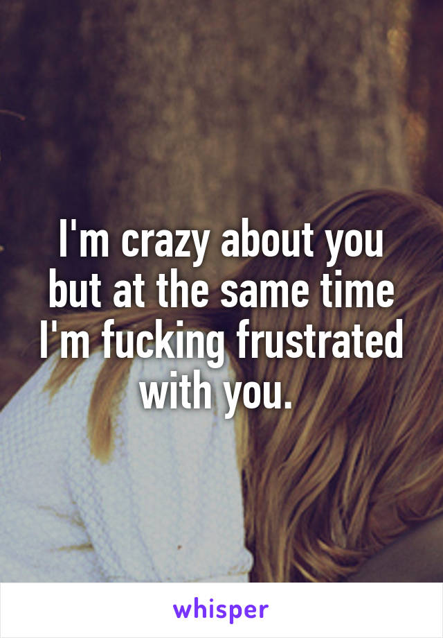 I'm crazy about you but at the same time I'm fucking frustrated with you. 