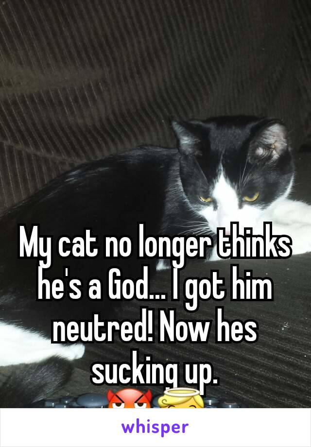 My cat no longer thinks he's a God... I got him neutred! Now hes sucking up.
😈😇