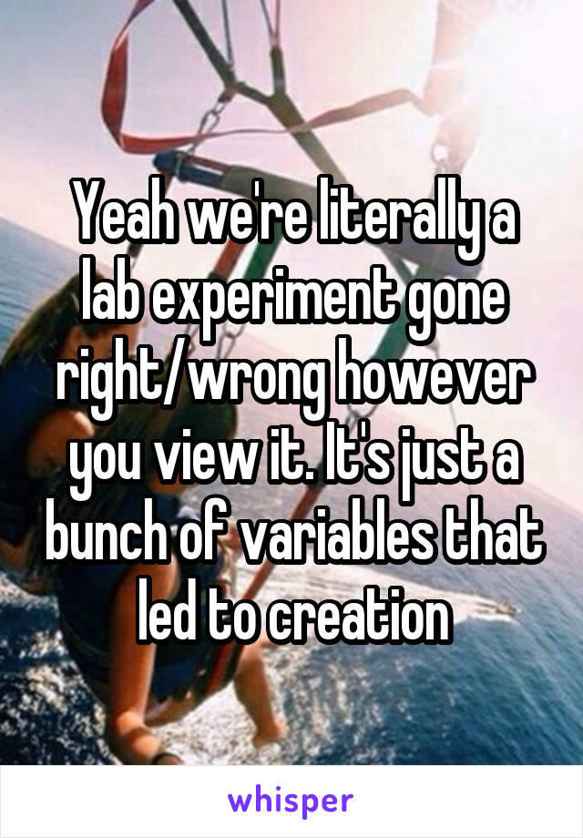 Yeah we're literally a lab experiment gone right/wrong however you view it. It's just a bunch of variables that led to creation