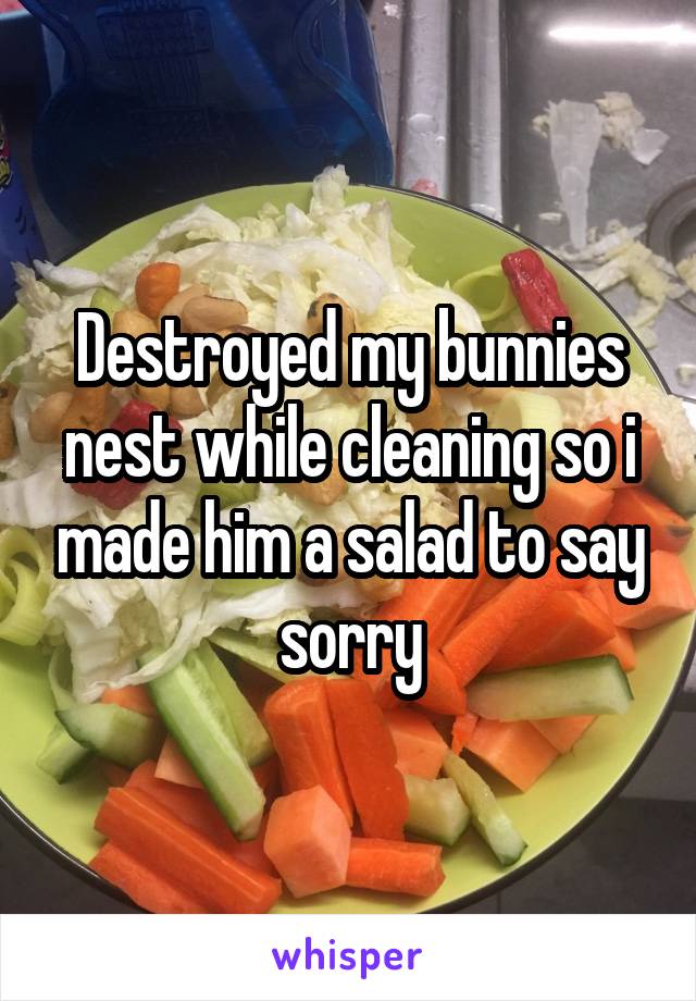 Destroyed my bunnies nest while cleaning so i made him a salad to say sorry