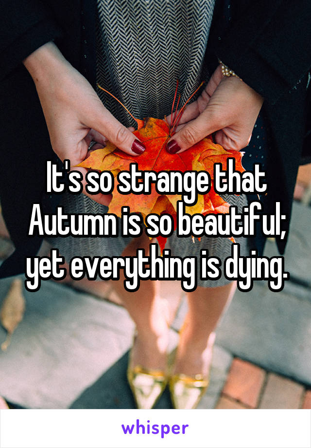 It's so strange that Autumn is so beautiful; yet everything is dying.