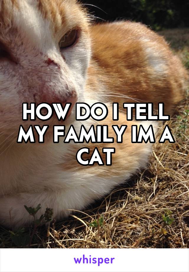 HOW DO I TELL MY FAMILY IM A CAT