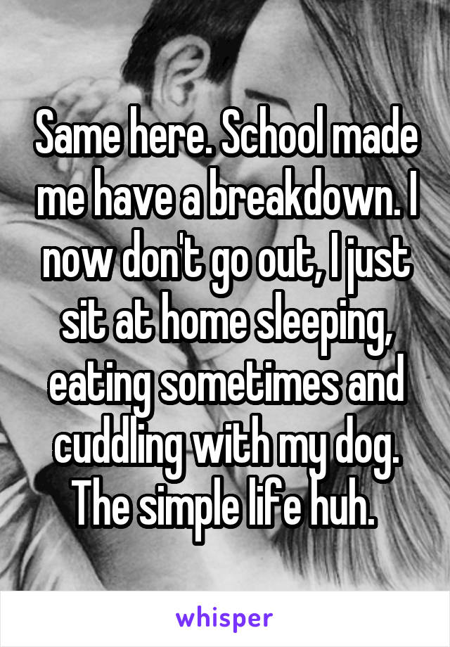 Same here. School made me have a breakdown. I now don't go out, I just sit at home sleeping, eating sometimes and cuddling with my dog. The simple life huh. 