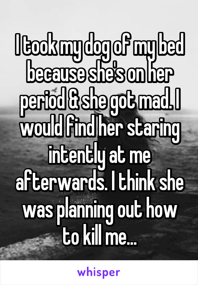 I took my dog of my bed because she's on her period & she got mad. I would find her staring intently at me afterwards. I think she was planning out how to kill me...