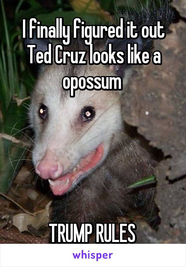 I finally figured it out Ted Cruz looks like a opossum 





TRUMP RULES 