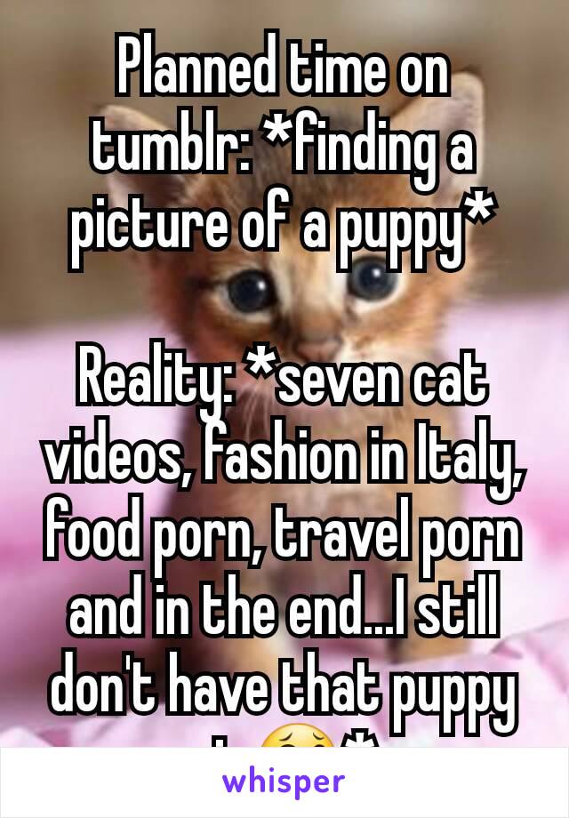 Planned time on tumblr: *finding a picture of a puppy*

Reality: *seven cat videos, fashion in Italy, food porn, travel porn and in the end...I still don't have that puppy pic😂*