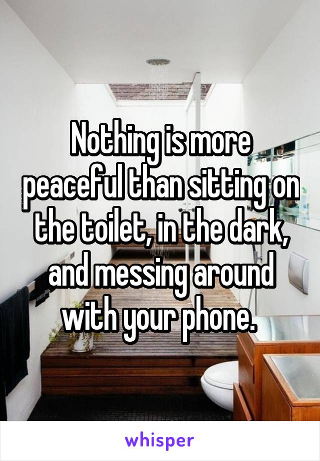 Nothing is more peaceful than sitting on the toilet, in the dark, and messing around with your phone. 