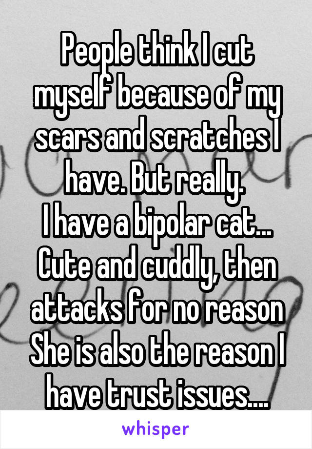 People think I cut myself because of my scars and scratches I have. But really. 
I have a bipolar cat...
Cute and cuddly, then attacks for no reason She is also the reason I have trust issues....