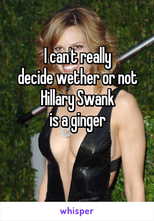 I can't really
decide wether or not
Hillary Swank
is a ginger

