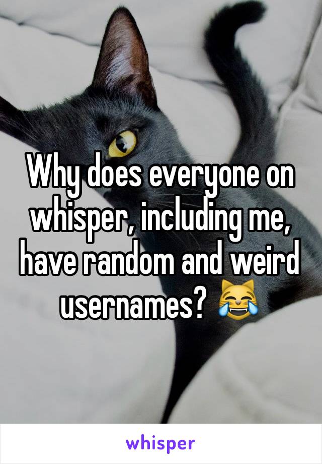 Why does everyone on whisper, including me, have random and weird usernames? 😹