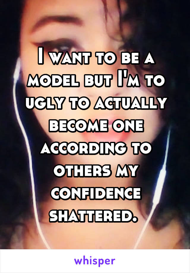 I want to be a model but I'm to ugly to actually become one according to others my confidence shattered. 