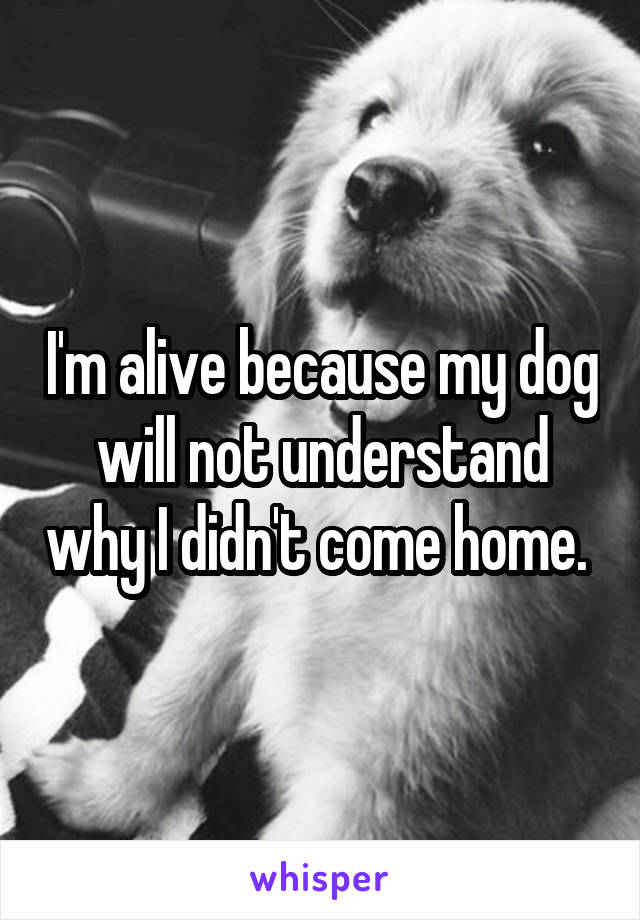 I'm alive because my dog will not understand why I didn't come home. 