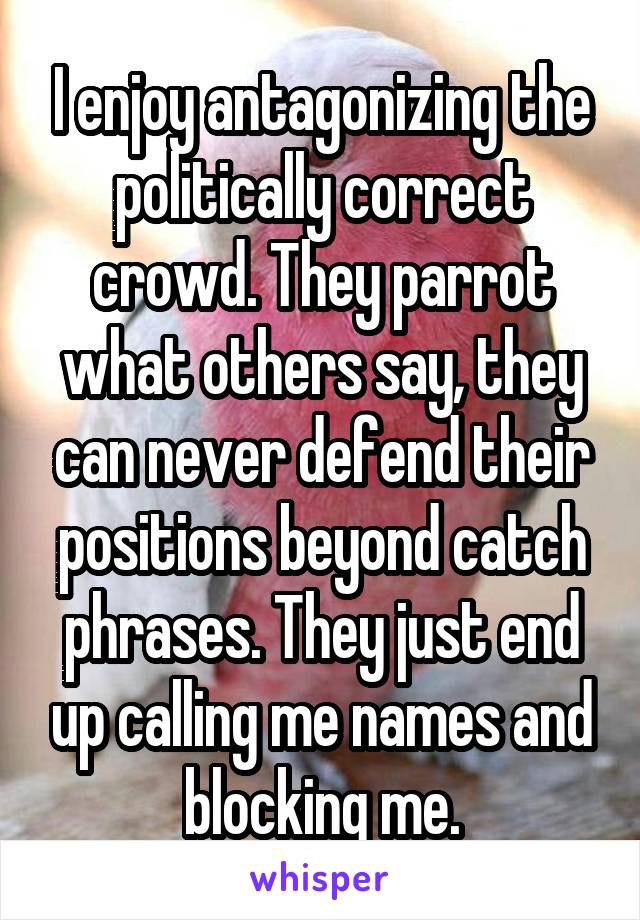 I enjoy antagonizing the politically correct crowd. They parrot what others say, they can never defend their positions beyond catch phrases. They just end up calling me names and blocking me.