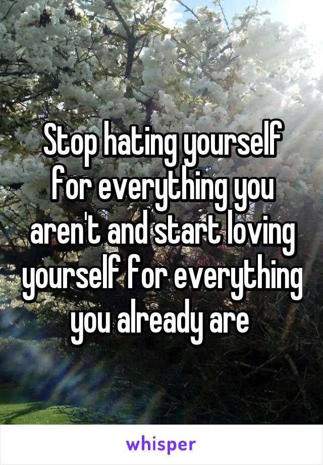 Stop hating yourself for everything you aren't and start loving yourself for everything you already are 