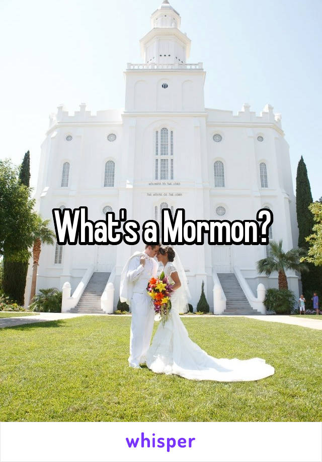 What's a Mormon?