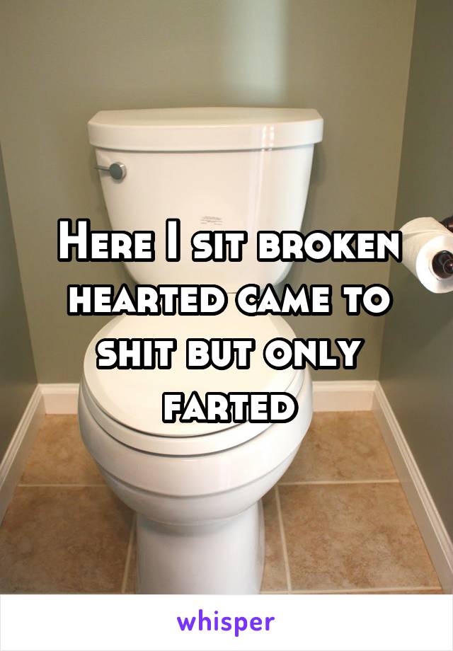 Here I sit broken hearted came to shit but only farted