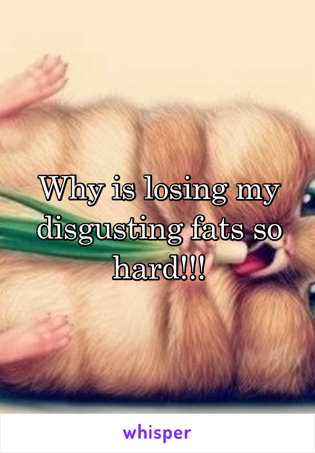 Why is losing my disgusting fats so hard!!!