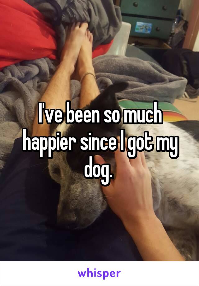 I've been so much happier since I got my dog. 