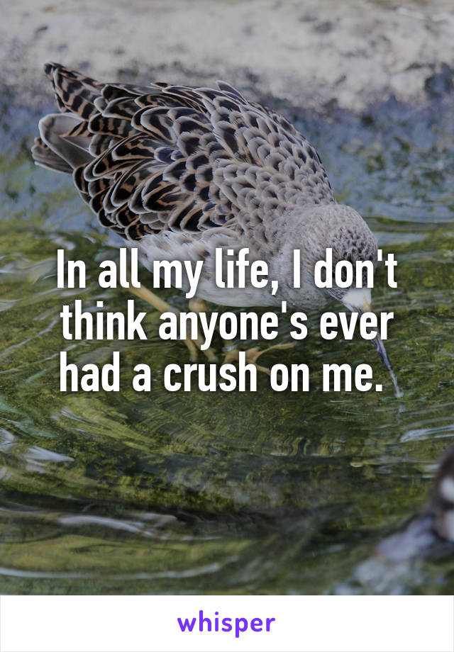 In all my life, I don't think anyone's ever had a crush on me. 