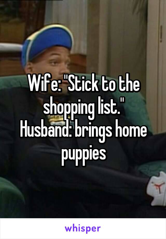 Wife: "Stick to the shopping list."
Husband: brings home puppies