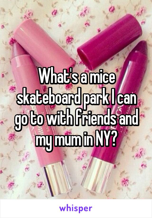 What's a mice skateboard park I can go to with friends and my mum in NY?