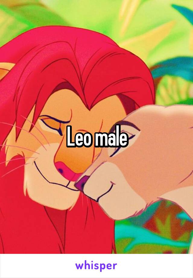 Leo male