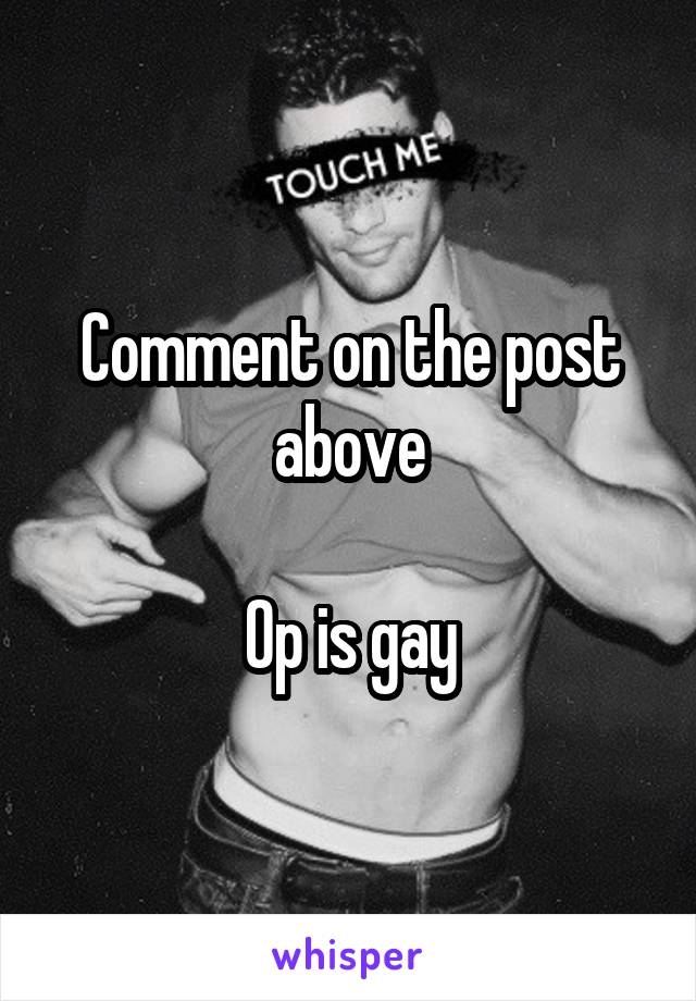 Comment on the post above

Op is gay