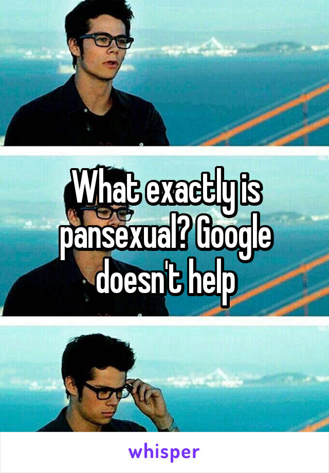 What exactly is pansexual? Google doesn't help